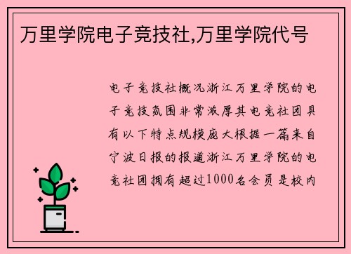 万里学院电子竞技社,万里学院代号