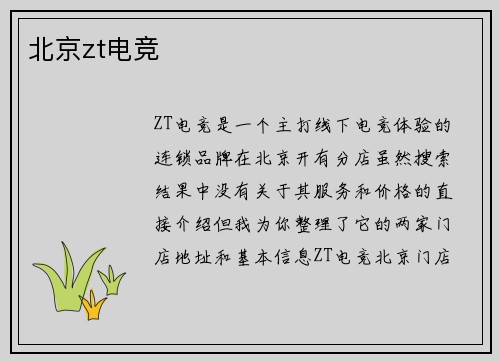 北京zt电竞